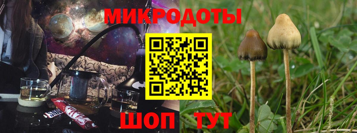 Славянск-на-Кубани  Псилоцибиновые грибы Psilocybe  купить наркоту  Галлюциногенные грибы прущие грибы  Вход с VPN 